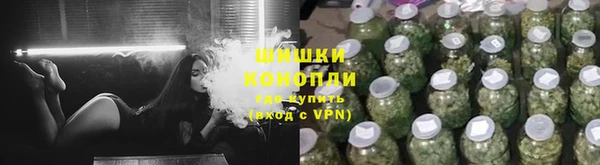 СК Заводоуковск