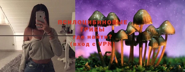 СК Заводоуковск