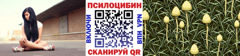 где купить наркоту  Полесск  Галлюциногенные грибы прущие грибы 